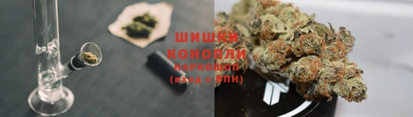 спиды Алексин